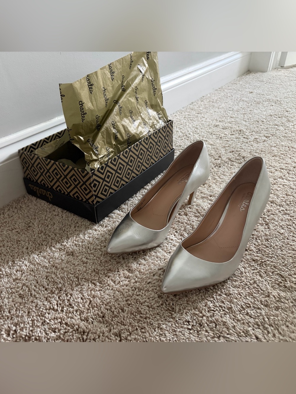 Charles by Charles David Silver Pointed Toe Mid Heel Pumps